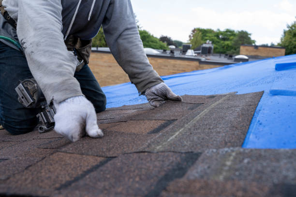 Best Flat Roof Repair Services  in Manche North Shore, CA